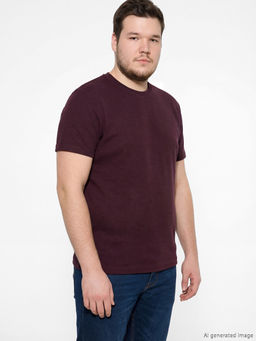 Bisiklet Yaka Erkek Ti??rt