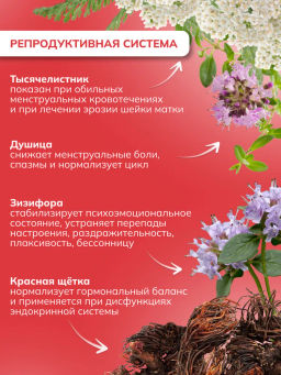 Драже из трав Для женщин с ягодой годжи, прополисом и дигидрокверцетином Алфит 6934  фото 9