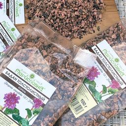 2 шт. Бадан толстолистный (корень) - Мариславна фото 2