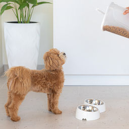 Лего-миска для животных 0,3л (с металлической чашей) ALTA (белый) М9155