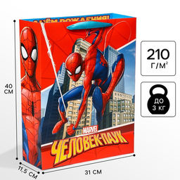 Пакет подарочный «С днём рождения!», 31 × 40 × 11.5 см