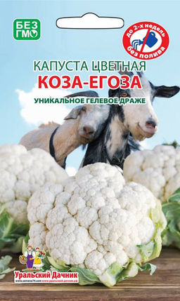 Капуста цветная КОЗА ЕГОЗА гелевое драже Новинка! Холодостойкая! Отлично завязывает крупные, белоснежные головки!
