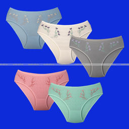 Цена за 5 шт.Трусы женские Турция большие размеры арт. 28164 (28165, 28169)