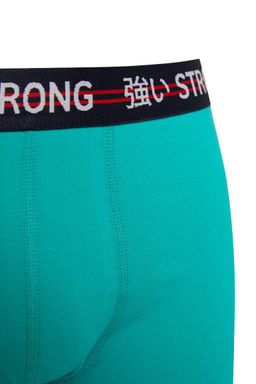 Базовые комплекты боксеров стандартной посадки (3 шт.) - Defacto фото 6