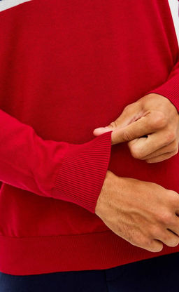 Джемпер мужской в полоску с воротом на молнии F221-15-22022 сине-красный - Fine joyce фото 6