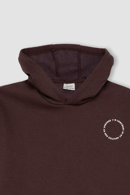 Толстовка оверсайз с капюшоном для мальчика - Defacto фото 2