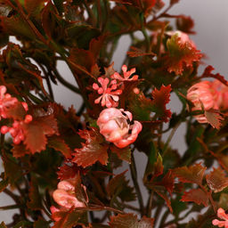 Бонсай искусственный в горшке «Деревце очарованье», 10×22 см, МИКС