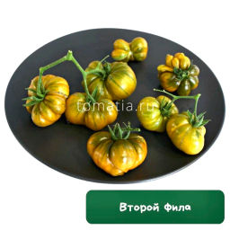 Второй фила