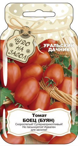 Томат БОЕЦ (БУЯН) Суперскороспелый гость из Новосибирска! Неприхотлив! Без пасынкования! Идеален для засолки! - Уральский дачник фото 8