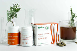 Алфит-актив 6 (для почек) БАД в брикетах Алфит 5784