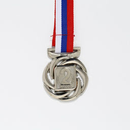 Медаль призовая 192 диам 4 см. 2 место. Цвет сер. С лентой