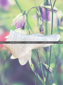 Цена за 10 пар. ЮстаТекс носки женские 2с15 СПОРТ ассорти 23-25 - Юста-текс фото 177