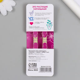 Набор для выращивания, карандаши подарочные «Лаванда + Сирень», mini, простые чернографитные, 2 шт.