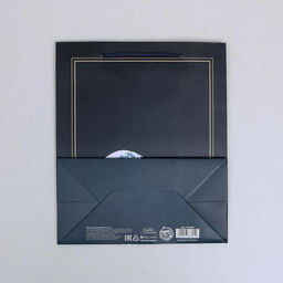 Цена за 2 шт. Пакет подарочный ламинированный, упаковка, «Present», ML 23×27×11.5 см