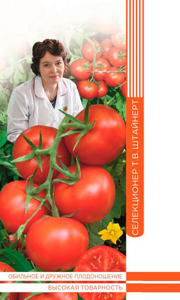 Томат ЗУРБАГАН F1 коллекция Татьяны Штайнерт гибрид мечты любого огородника! Снизу доверху увешан плотными кистями обворожительных по вкусу плодов!