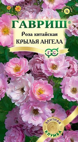 Роза Крылья ангела китайская 5шт (г) серия Элитная клумба