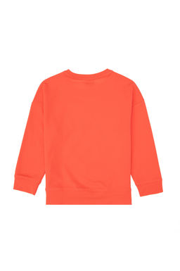 Толстовка для девочек с цветком граната Неожиданная скидка в корзине - U.s. polo assn фото 4