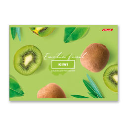 Светоч 48АЛСК4_1_3_9 Альбом для рисования 100 г/м2 A4 29 х 20.5 см 48 л. 5 шт. на скобе 000260 Зелёная ракета фото 22