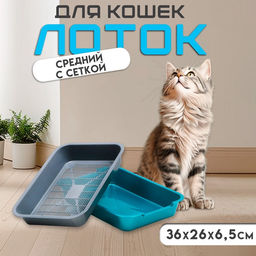 Туалет средний с сеткой 36×26×6.5 см, серый/бирюзовый