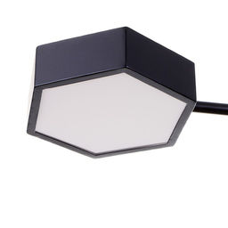 Люстра 1318/6BK LED 144 Вт 3000-6000К чёрный 71×65×25 см BayerLux