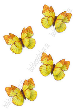 Лазерная вырубка из фетра "Бабочка" 4*3 см (10 шт) №2 несклеенная