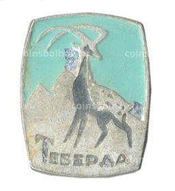 Значок Теберда