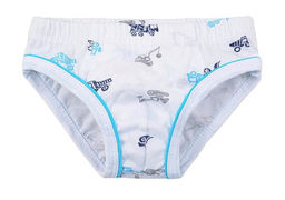 К 1932 Трусы, дорожная техника на белом