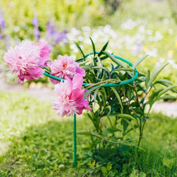 Цена за 2 шт. Кустодержатель для цветов, d=40 см, h=80 см, ножка d=1 см, металл, зелёный