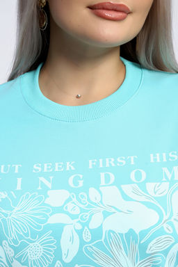 Толстовка 80047