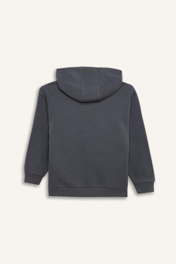 Толстовка с капюшоном и карманами-кенгуру для мальчиков Бэтмен - Defacto фото 3