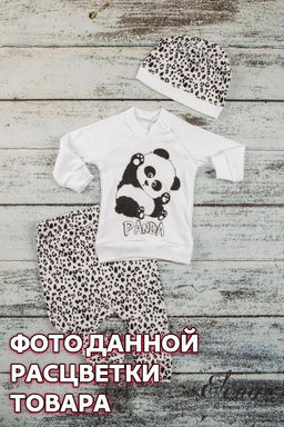 Костюм (кофта,брюки,шапочка) Арт. 41929П 2-набивка