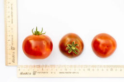 Томат Карен - Партнер фото 5