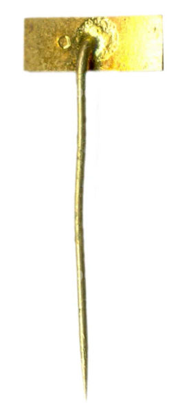 Значок рекламный TESLA (Глоубетин)