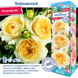 e118095924a6d3e8f08f4bfa2898ce373vujt348hfma0rgcls