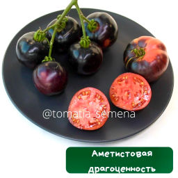 Аметистовая драгоценность