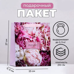 Пакет подарочный ламинированный вертикальный PRESENT, 23×27×11.5 см