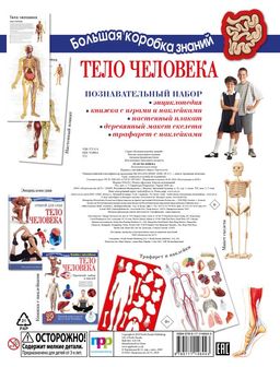 Тело человека. Познавательный набор - Аст фото 2