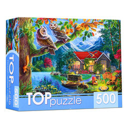 Пазлы 500 "Ночной пейзаж и совы"