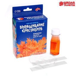 Выращивание кристаллов Опыты. Лучистые кристаллы, цвет оранжевый - Школа талантов фото 2