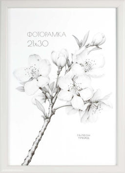 Фоторамка 21х30 с акриловым стеклом / 1503-015 /уп10 ф