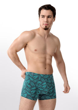 MSH552421 Трусы мужские (ЧЗ)