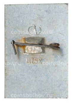 Значок Общество охраны памятников истории и культуры РСФСР