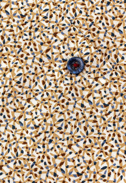 Сорочка мужская короткий рукав GREG 153/209/4039/ZS/C/1  фото 3