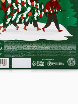 Новогодний подарочный набор косметики Bright Christmas night: гель для душа 300 мл и соль для ванны 200 мл, URAL LAB