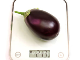 Баклажан Патрик - Партнер фото 6