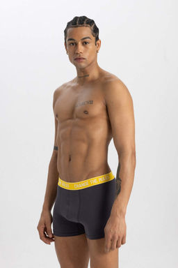 Комплект боксеров стандартной посадки (3 шт.) - Defacto фото 6