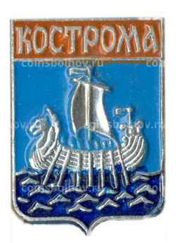 Значок Кострома
