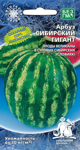 Арбуз СИБИРСКИЙ ГИГАНТ  Сахарный сорт  лакомство! Плоды великаны в суровых сибирских условиях!