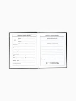 Дневник школьный 1-4 класса, в твердой обложке, 48 л Аниме комикс - Artfox study фото 4