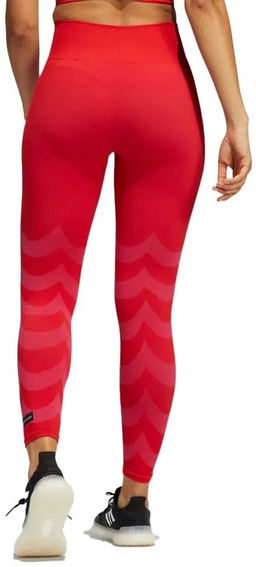 Тайтсы женские